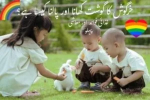 خرگوش کا گوشت کھانا اور پالنا کیسا ہے؟