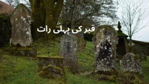 قبر کی پہلی رات کا منظر کیسا ہوگا؟