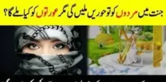 مردوں کو جنت میں حوریں ملیں گی، تو عورتوں کو کیا ملے گا؟ What will women get? When men will get wives in heaven مردوں کو جنت میں حوریں ملیں گی، تو عورتوں کو کیا ملےگا؟