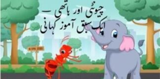 چیونٹی اور ہاتھی – How Ant teaches Elephant? چیونٹی اور ہاتھی