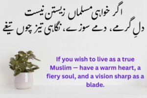 Iqbal Poetry