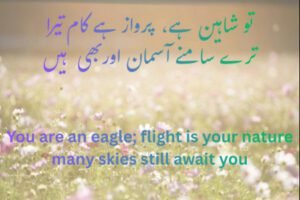 Iqbal Poetry