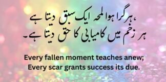 Hard Work & Determination-کامیابی کے اشعار-What Explain this poetry کامیابی کے اشعار
