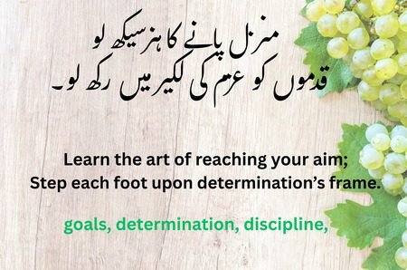 کامیابی کے اشعار