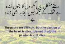 کامیابی کے اشعار — جب جذبہ زندہ ہو تو راستے خود بن جاتے ہیںWhat lesson in this poem کامیابی کے اشعار