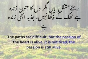 کامیابی کے اشعار