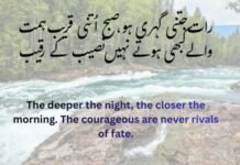 کامیابی کے اشعار — ہمت، امید اور روشنی کا سفرHow this poem gives lesson of hope کامیابی کے اشعار