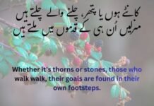 کامیابی کے اشعار — ثابت قدمی، حوصلہ اور منزل تک رسائی کا رازWhat Secret in this poem کامیابی کے اشعار