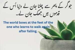 کامیابی کے اشعار