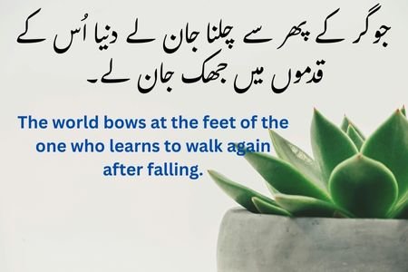 کامیابی کے اشعار