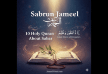 Sabrun Jameel: What Deep Meaning in Holy Quran Verses about Sabar Holy Quran Verses about Sabar