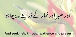 صبر اور نماز کا تعلق Holy Quran Verses about Sabar Holy Quran Verses about Sabar