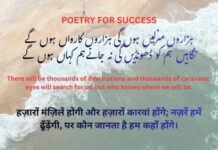 What is Leaving a Legacy: Poetry for Success & Self-Confidence Poetry for Success & Self-Confidence