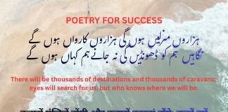 What is Leaving a Legacy: Poetry for Success & Self-Confidence Poetry for Success & Self-Confidence
