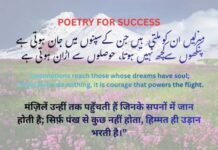 How Courage to Fly: Poetry for Success & Self-Confidence Poetry for Success & Self-Confidence